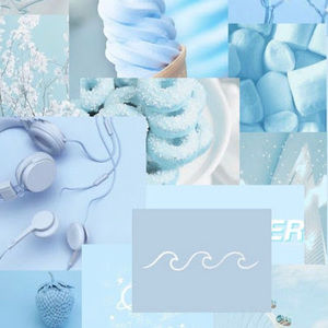 Meet your Posher, Darla